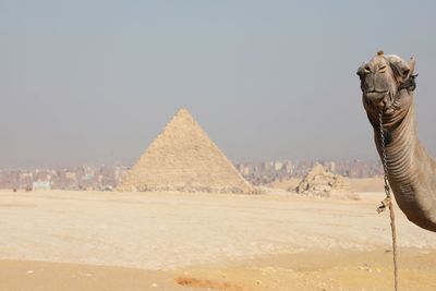 View of a desert and pyramids