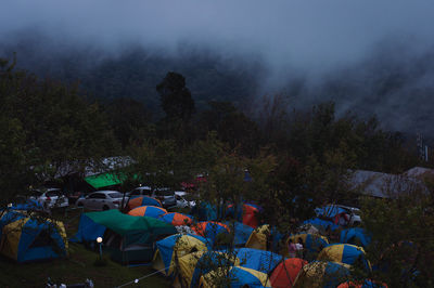 Group of people in foggy weather