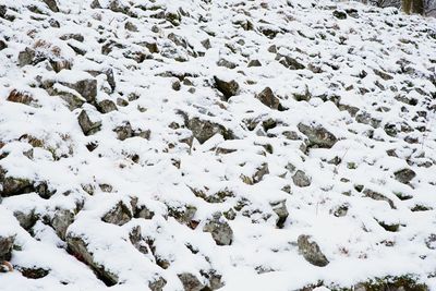 Full frame shot of snow covered field