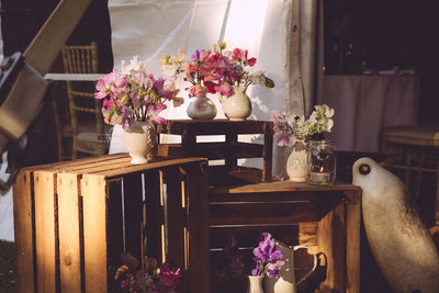 Potted plant in pot