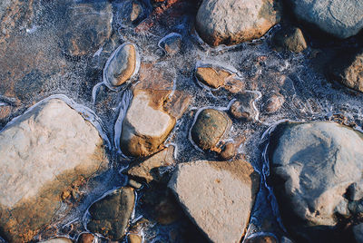 Rocks in the sea