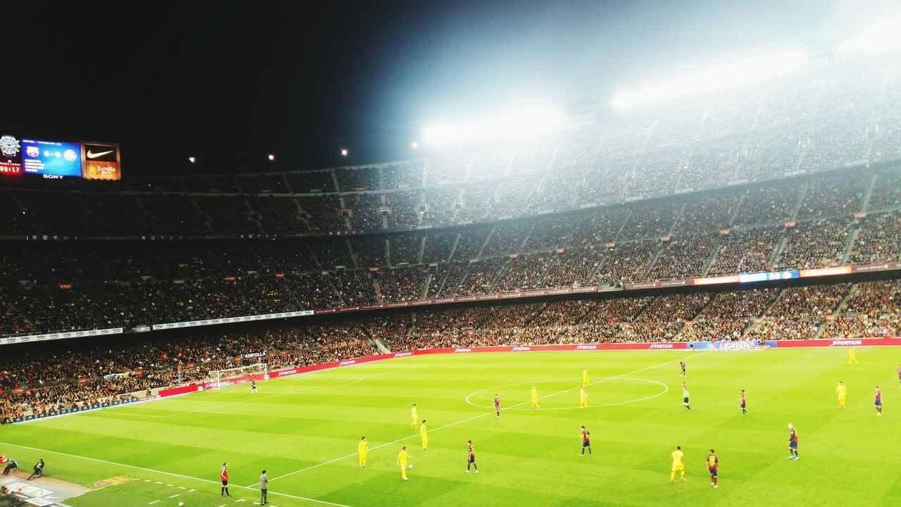 grass, large group of people, green color, field, landscape, sky, sport, built structure, night, high angle view, building exterior, grassy, architecture, illuminated, outdoors, stadium, nature, crowd, men