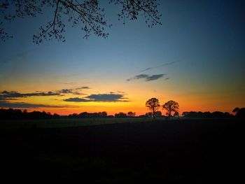 Silhouette trees on field against sky during sunset