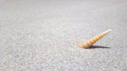 Close-up of cigarette on sand