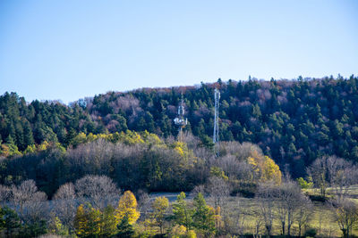 Trees on field against clear sky