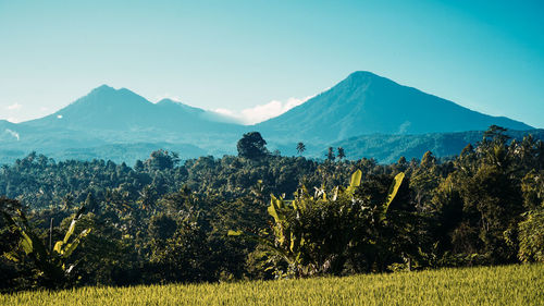 Scenic view of field and mountains against clear sky