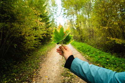 Person holding umbrella on road amidst trees during autumn