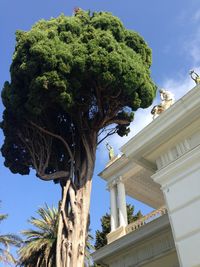 Low angle view of built structure against blue sky