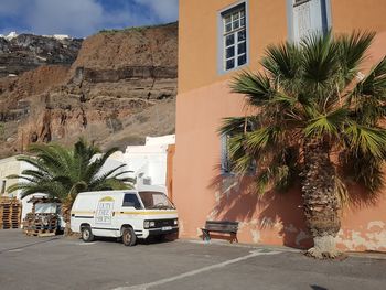 Palm trees by road against buildings