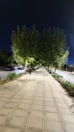 Street amidst trees in city at night