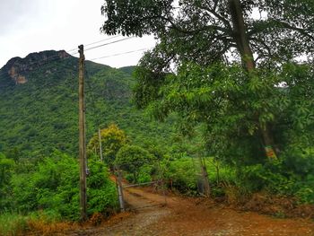 Dirt road amidst trees in forest against sky