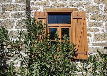 Plants growing outside building