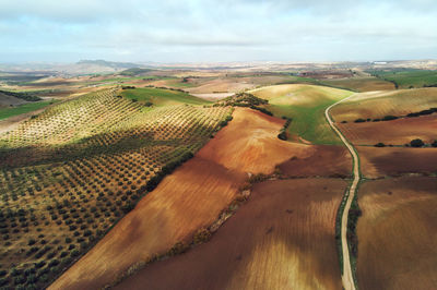 Scenic view of farm against sky