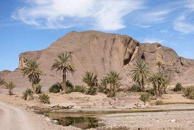 Rock formations in a desert