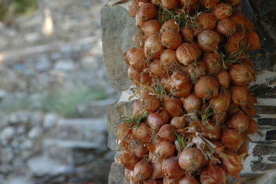 Close-up of food