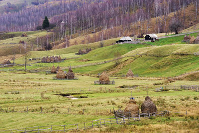 Scenic view of agricultural field