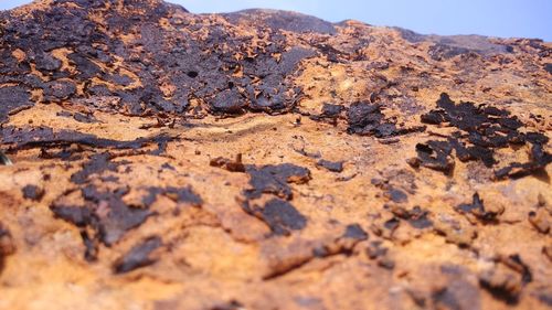 Surface level of rocks on sand