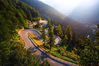 High angle view of road amidst trees