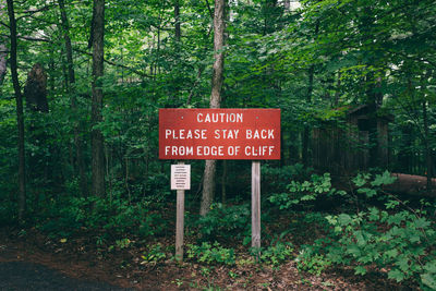 Road sign against trees in forest