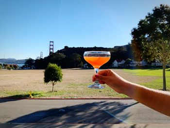 Person holding drink against sky