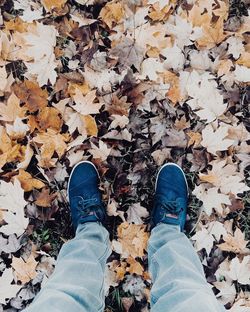 Low section of man standing on fallen leaves