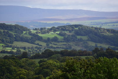 Scenic view of rural landscape