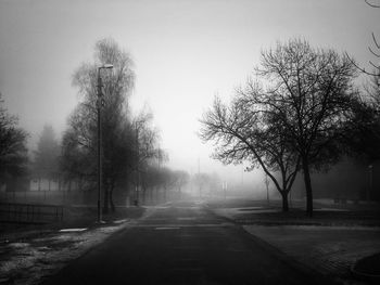 Empty road along bare trees