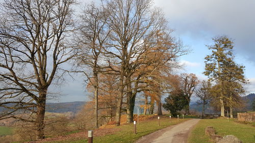 Road amidst bare trees against sky