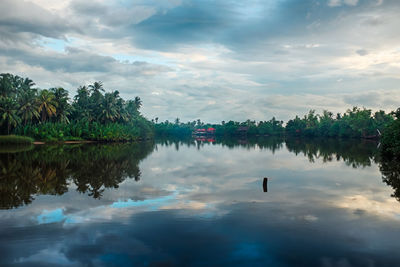 Reflection of trees in lake