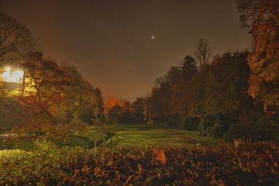 Trees on field against sky at night