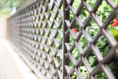 Close-up of chainlink fence