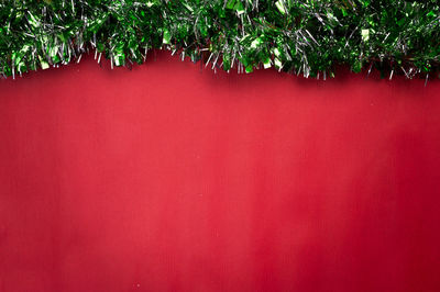 Close-up of christmas tree against red wall