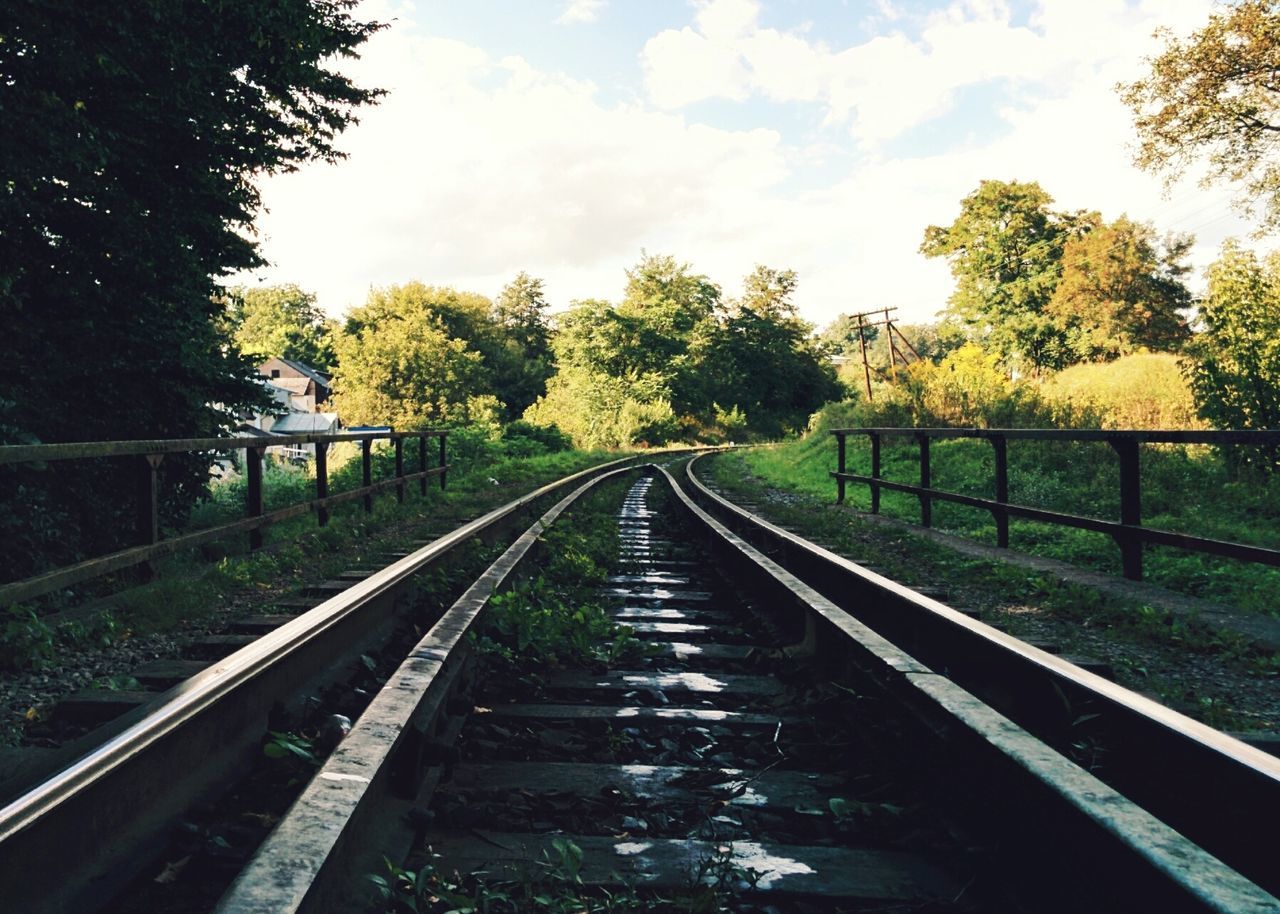 tree, the way forward, diminishing perspective, water, vanishing point, sky, connection, tranquility, railing, nature, railroad track, canal, footbridge, growth, tranquil scene, transportation, day, river, bridge - man made structure, outdoors