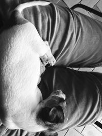 Woman looking at camera