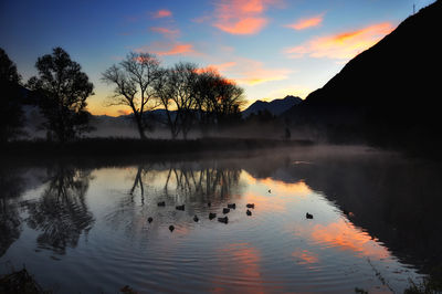 Silhouette birds in lake against sky during sunset