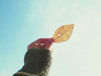 Cropped image of person holding leaf against sky