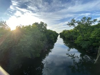 Scenic view of river amidst trees against sky