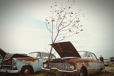 Cars parked in parking lot
