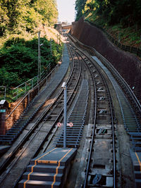 High angle view of railroad tracks amidst trees