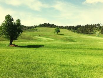 Scenic view of golf course against sky