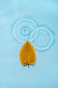 Yellow, autumn leaf against background of blue water with drops, rings and ripples from raindrops