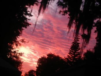 Low angle view of silhouette trees against dramatic sky