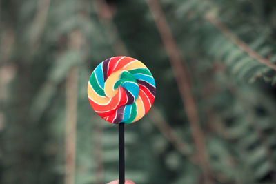 Close-up of multi colored umbrella