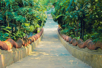 Footpath amidst trees by plants