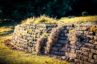 Close-up view of stone wall