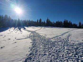snow