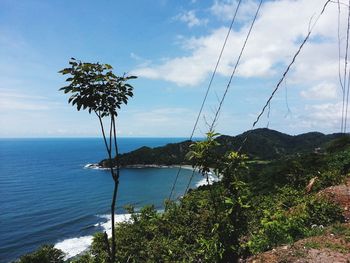 Scenic view of sea and trees against sky