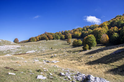 Scenic view of landscape against blue sky