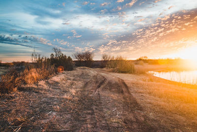 Scenic view of land against sky during sunset