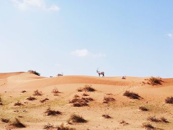 Scenic view of desert against sky